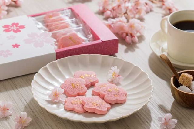 《季節限定》金沢箔菓子 金箔さくらショコラ - 箔一の通販コスメ 